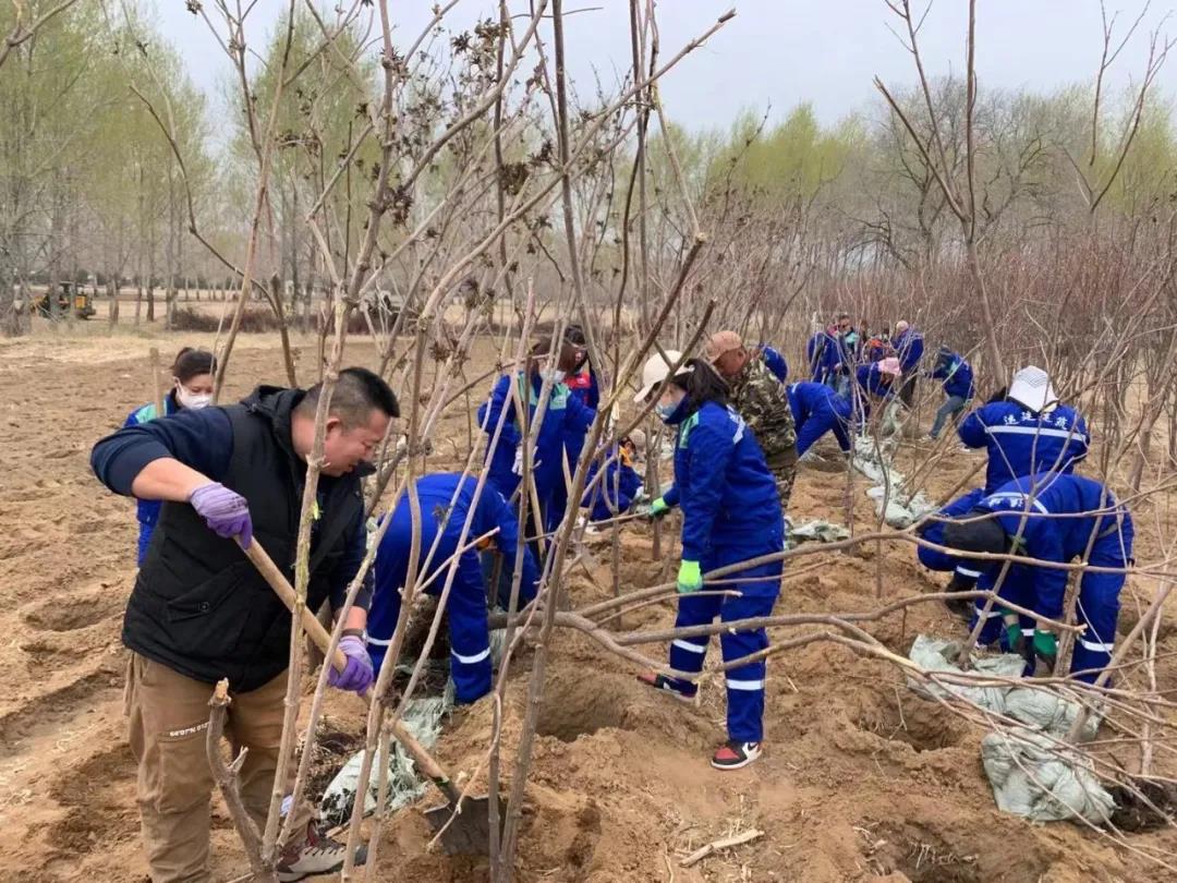 Z6尊龙·凯时(中国)-官方网站