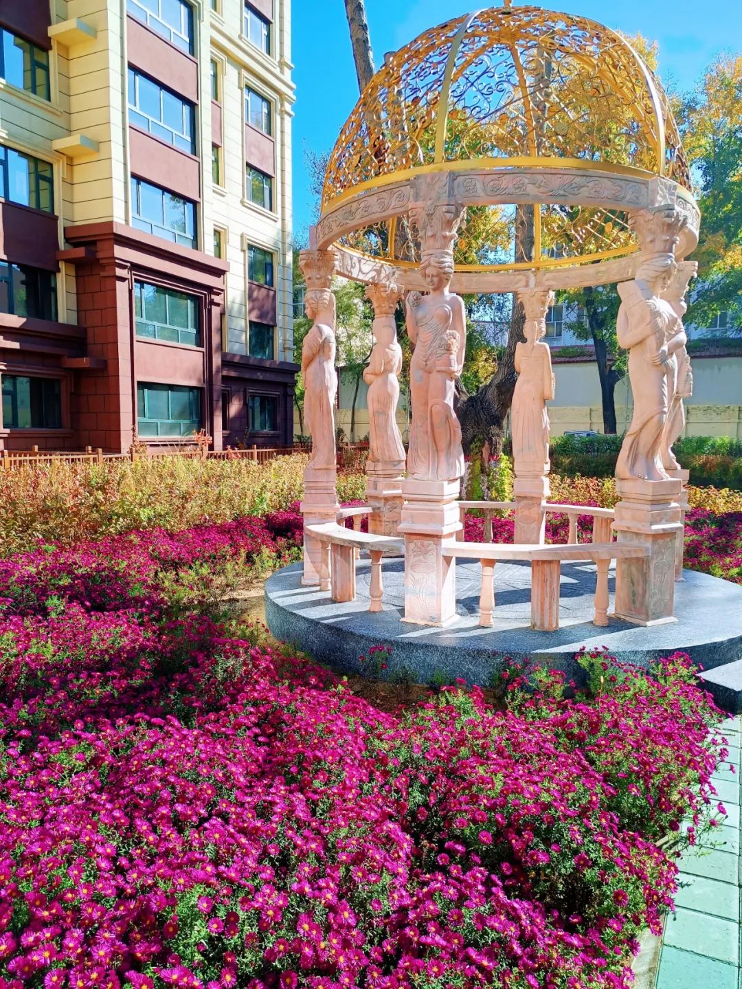 Z6尊龙·凯时(中国)-官方网站