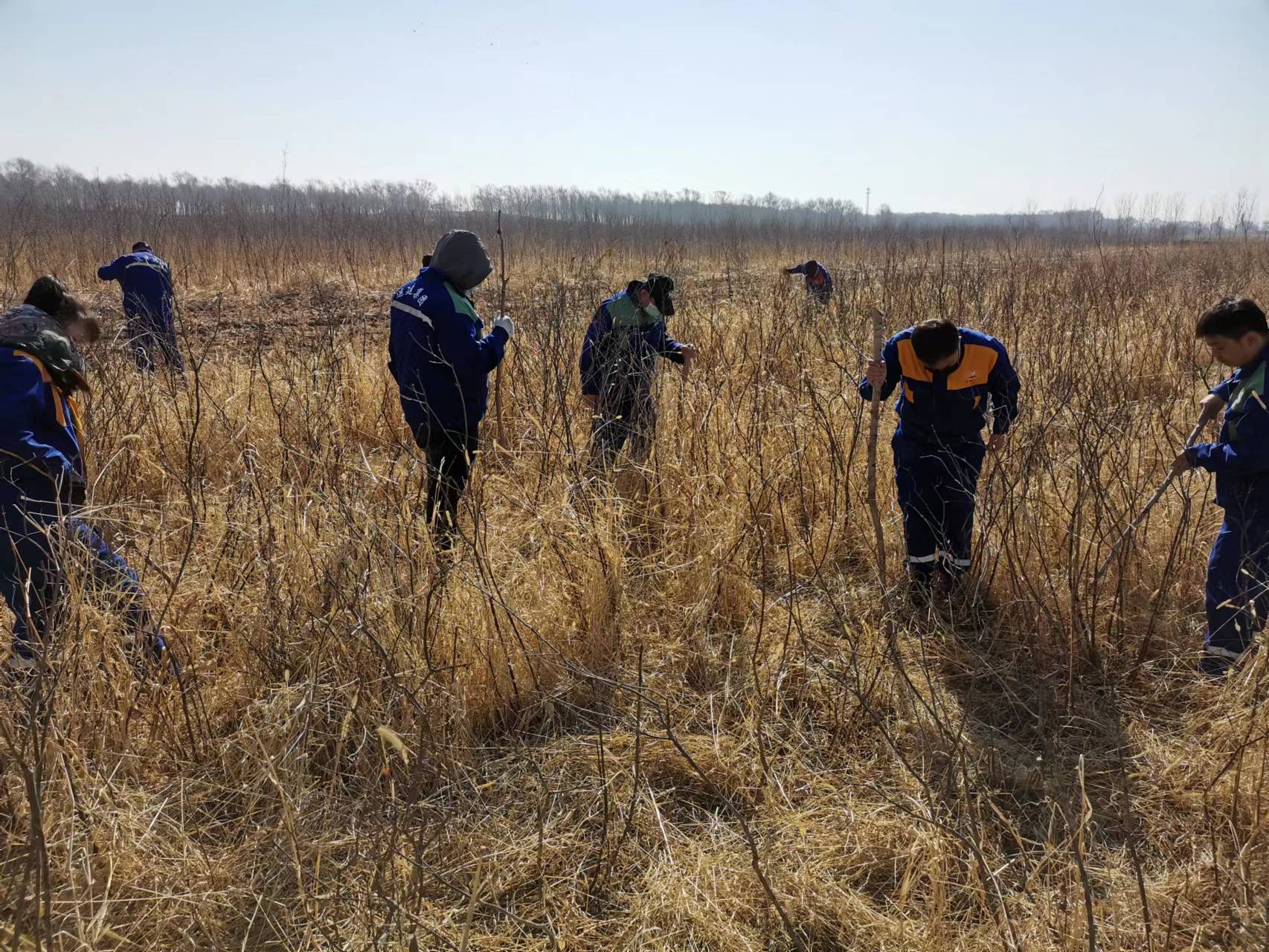 Z6尊龙·凯时(中国)-官方网站