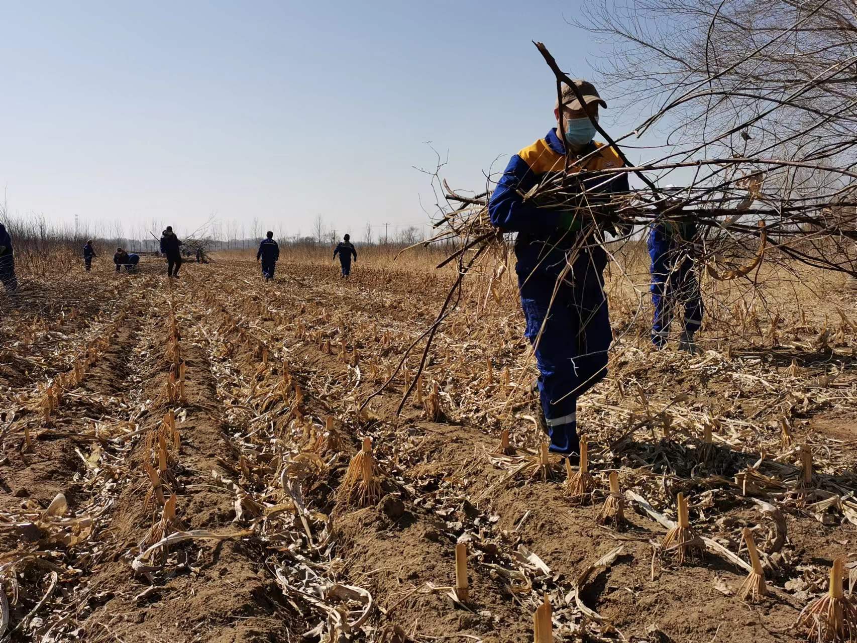 Z6尊龙·凯时(中国)-官方网站