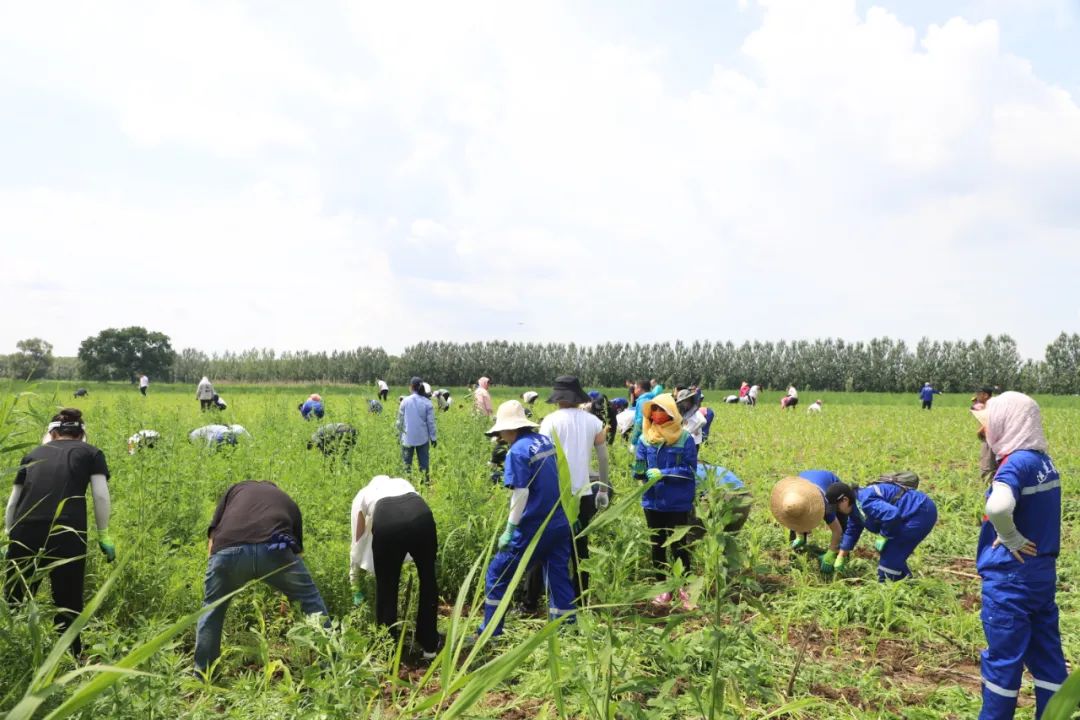 Z6尊龙·凯时(中国)-官方网站