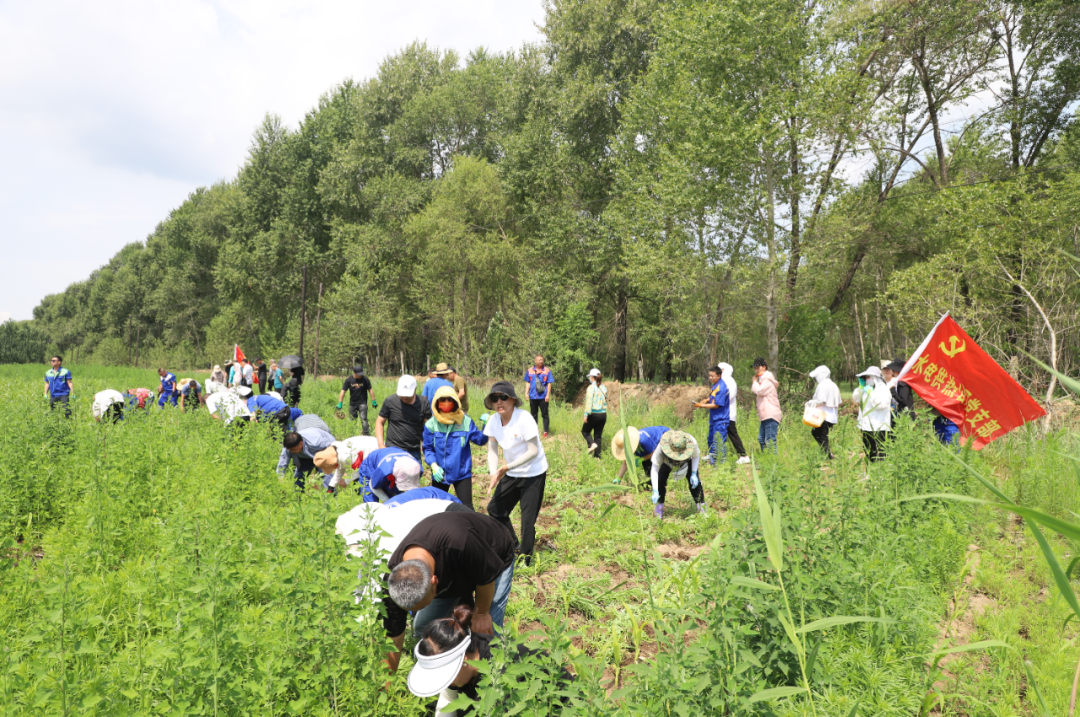 Z6尊龙·凯时(中国)-官方网站