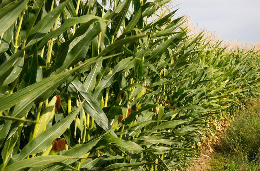 Z6尊龙·凯时(中国)-官方网站