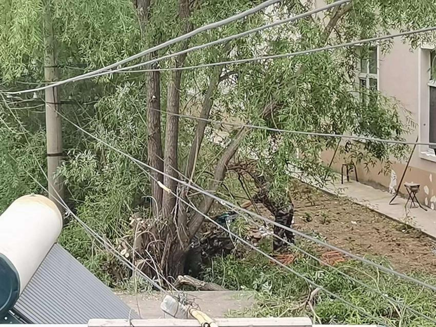 Z6尊龙·凯时(中国)-官方网站