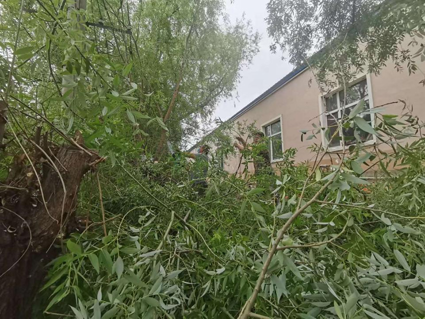 Z6尊龙·凯时(中国)-官方网站