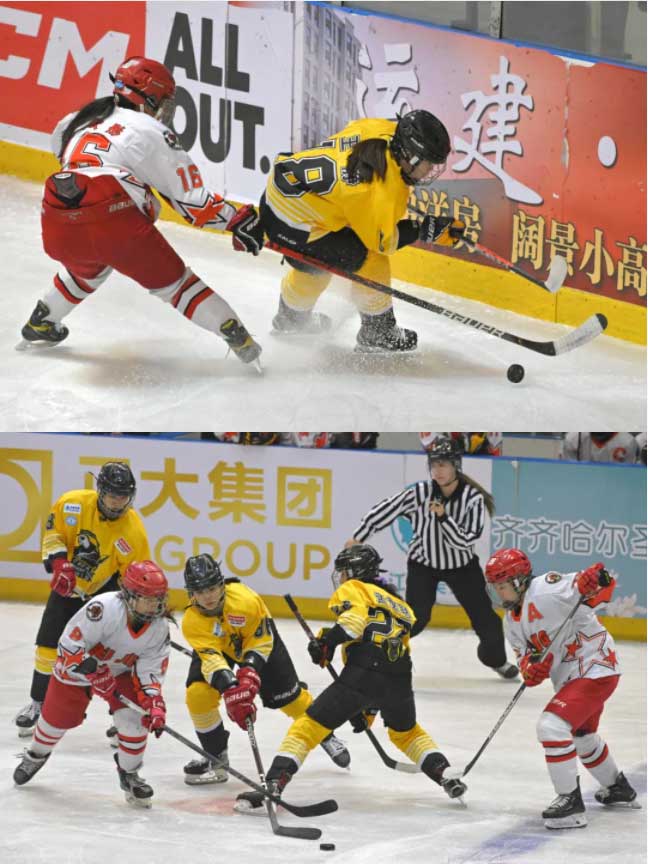 Z6尊龙·凯时(中国)-官方网站