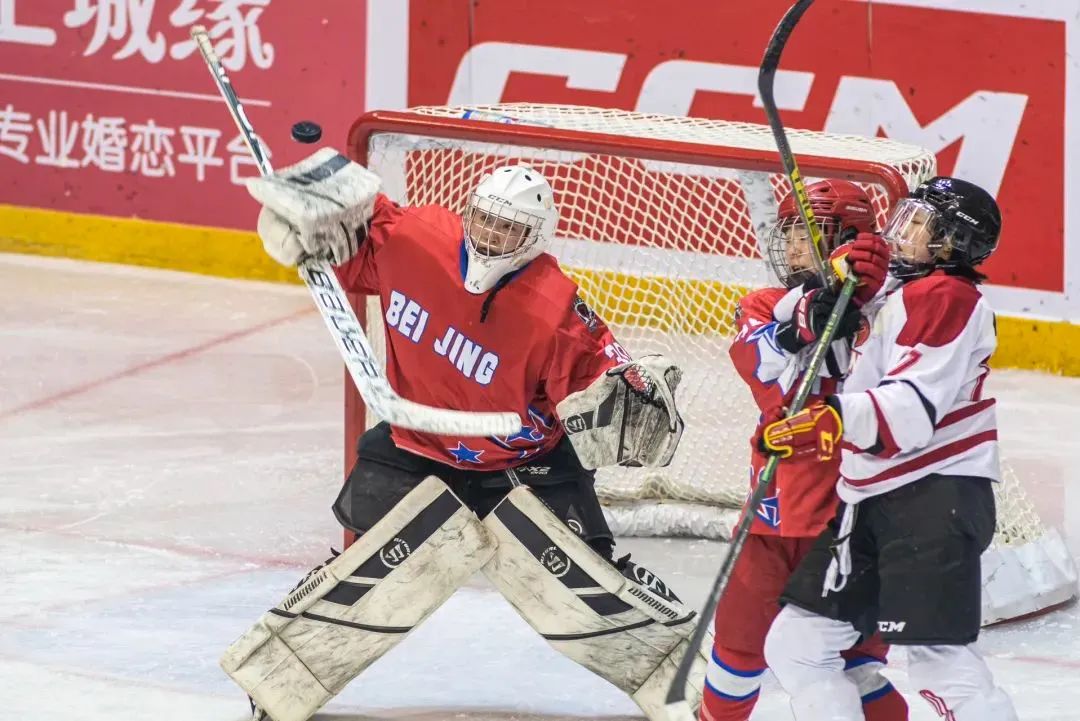 Z6尊龙·凯时(中国)-官方网站