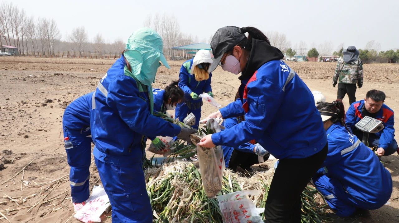 Z6尊龙·凯时(中国)-官方网站