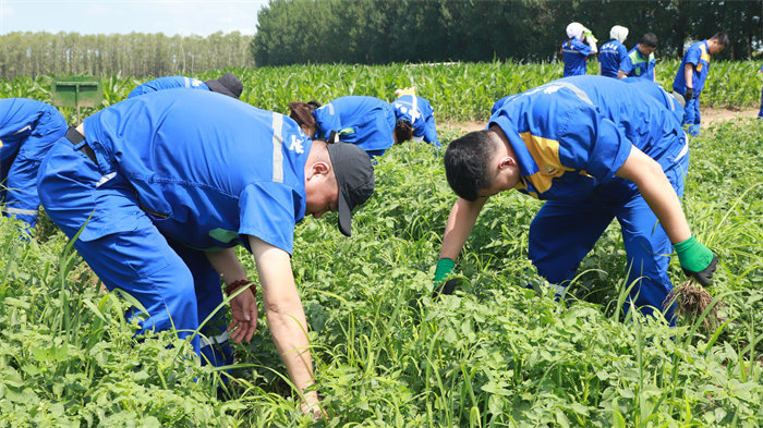 Z6尊龙·凯时(中国)-官方网站