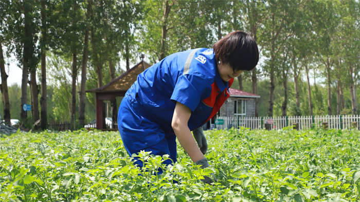 Z6尊龙·凯时(中国)-官方网站